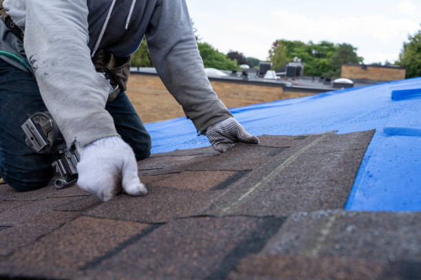 Best Chimney Flashing Repair  in Smithton, IL